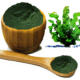 spirulina.png