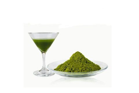 barely grass juice powder.jpg