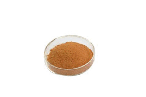 rhodiola rosea extract powder.png
