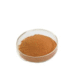 rhodiola rosea extract powder.png
