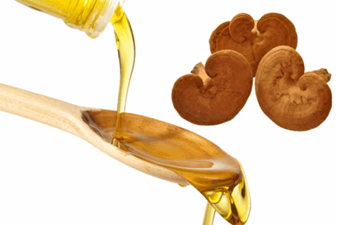 ganoderma lucidum spore oil.png