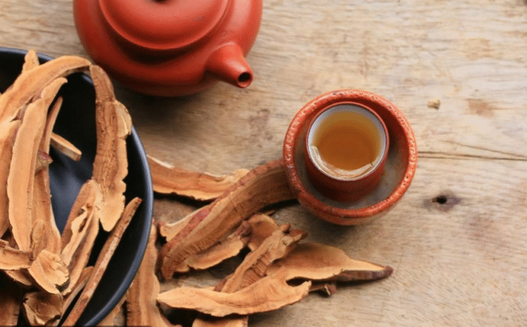 anti cancer for ganoderma lucidum