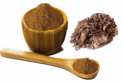 maitake mushroom extract