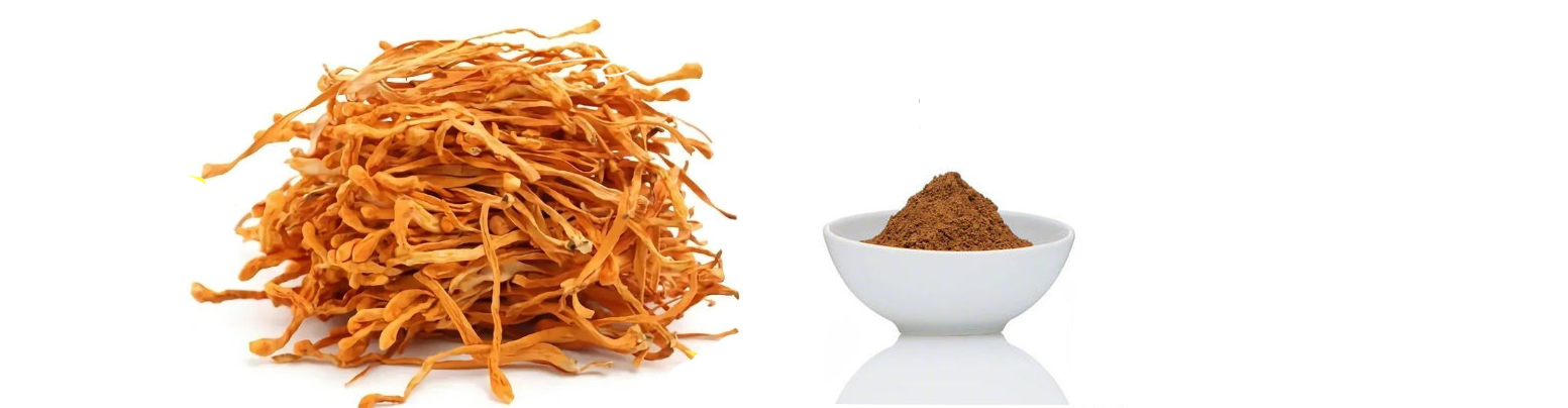 Cordyceps Extract Beta Glucan